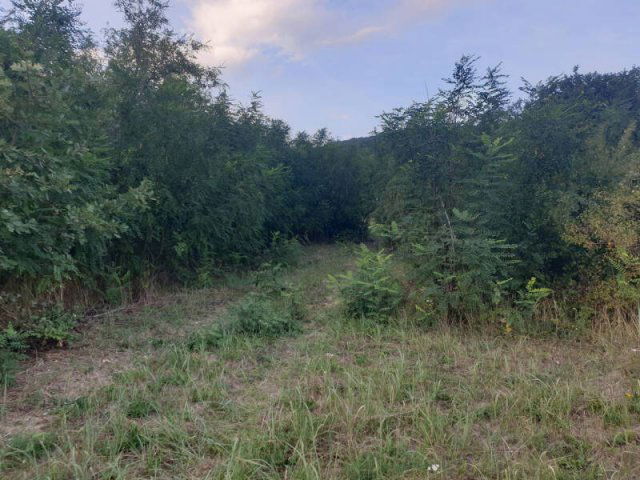 Eladó telek, Pilisszántón 32.9 M Ft / költözzbe.hu