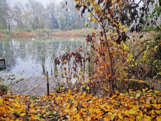 Eladó telek, Dömsödön 19.9 M Ft / költözzbe.hu