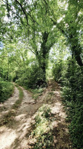 Eladó mezogazdasagi ingatlan, Ságváron 3.9 M Ft