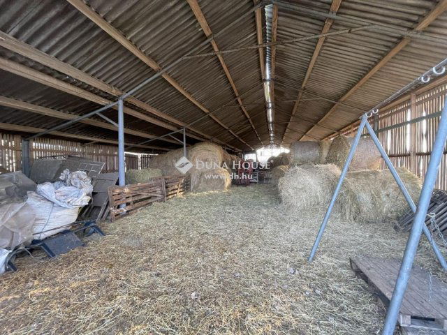 Eladó mezogazdasagi ingatlan, Kiskunmajsán 79 M Ft