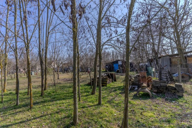Eladó mezogazdasagi ingatlan, Baján 4.2 M Ft