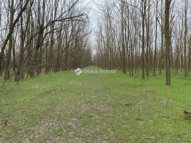 Eladó családi ház, Ladánybenén 49.99 M Ft, 3 szobás