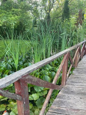 Eladó családi ház, Kecskeméten 46.9 M Ft, 2 szobás