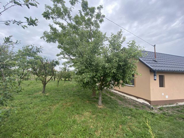 Eladó családi ház, Gyulán 21.9 M Ft, 2 szobás