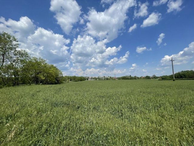 Eladó ipari ingatlan, Tárnokon 110 M Ft / költözzbe.hu