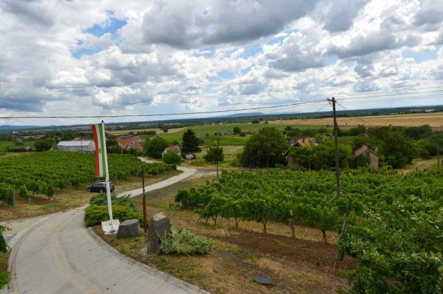 Eladó telek, Somlójenőn 7.49 M Ft / költözzbe.hu