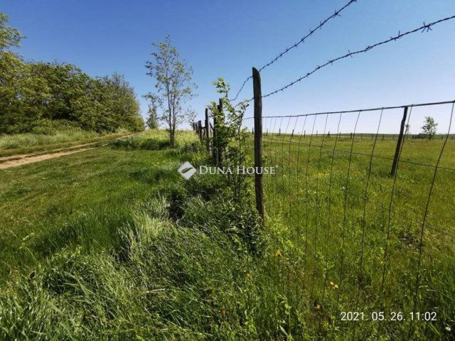 Eladó telek, Harkán 125 M Ft / költözzbe.hu