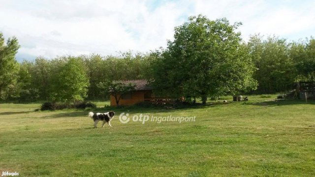 Eladó telek, Nyíregyházán 36.78 M Ft / költözzbe.hu