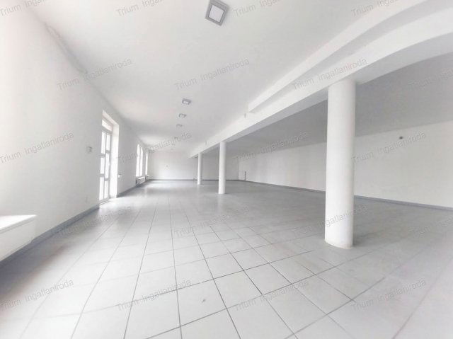 Kiadó üzlethelyiség, Nyíregyházán 390 E Ft / hó