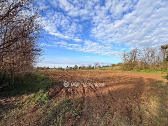 Eladó telek, Nyíregyházán 16 M Ft / költözzbe.hu