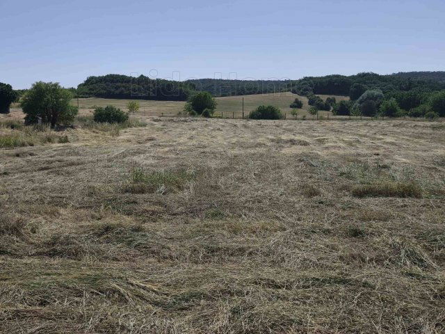 Eladó ipari ingatlan, Felsőörsön 250 M Ft / költözzbe.hu