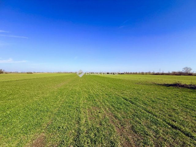 Eladó telek, Taksonyon 30 M Ft / költözzbe.hu