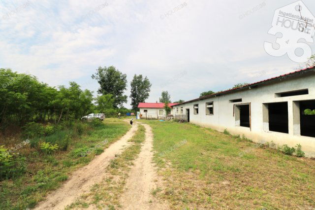 Eladó mezogazdasagi ingatlan, Lajosmizsén 42 M Ft
