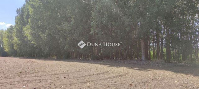 Eladó mezogazdasagi ingatlan, Cegléden 30 M Ft, 3 szobás