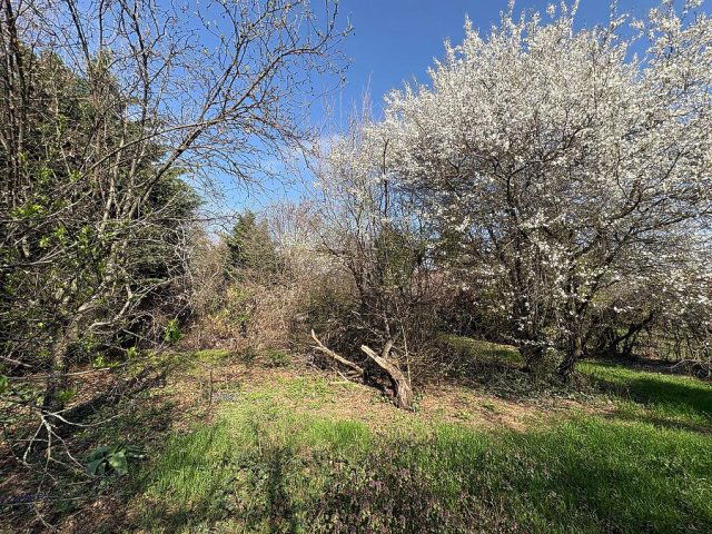 Eladó telek, Budakalászon 82 M Ft / költözzbe.hu