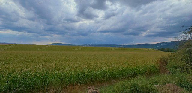 Eladó mezogazdasagi ingatlan, Héregen 18.5 M Ft, 1 szobás