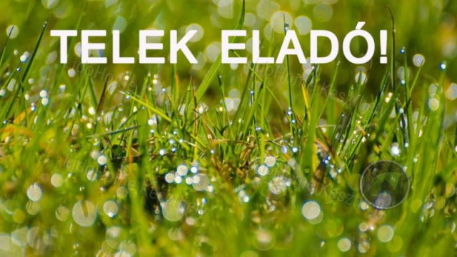 Eladó mezogazdasagi ingatlan, Zalacsányon 4 M Ft