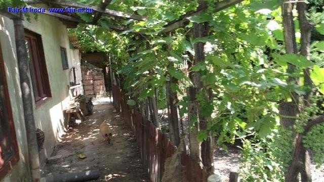 Eladó családi ház, Csongrádon 5 M Ft, 3 szobás