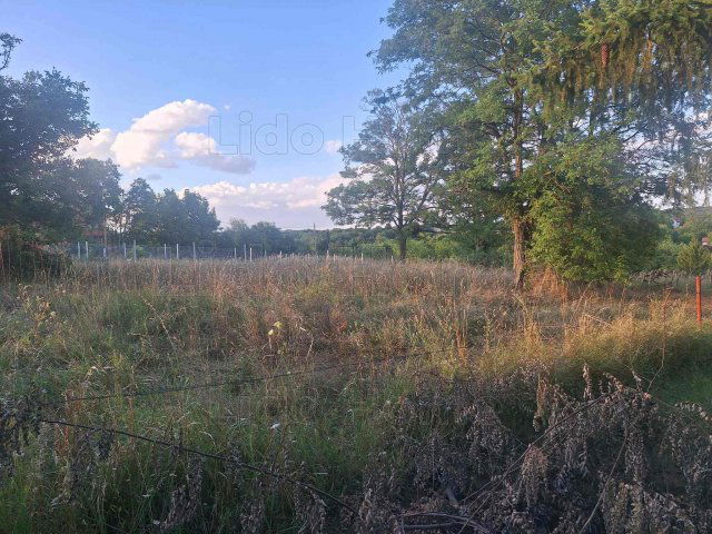 Eladó mezogazdasagi ingatlan, Igalon 11.5 M Ft