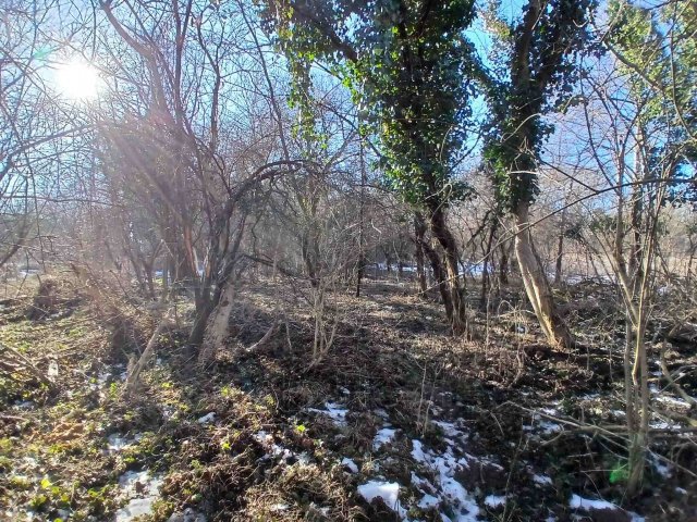 Eladó mezogazdasagi ingatlan, Bakonygyiróton 6.5 M Ft