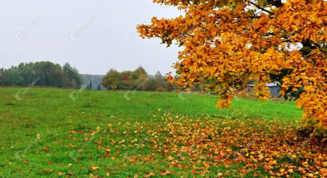 Eladó telek, Kemestaródfán 6.99 M Ft / költözzbe.hu