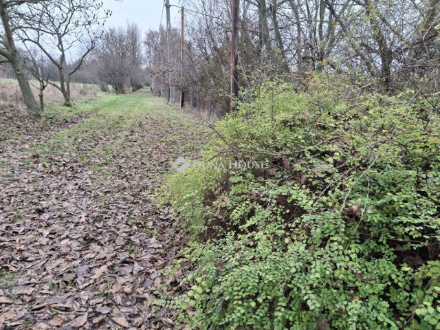 Eladó telek, Alcsútdobozon 5.6 M Ft / költözzbe.hu