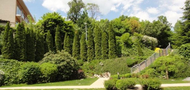 Kiadó téglalakás, albérlet, II. kerületben, Budakeszi úton