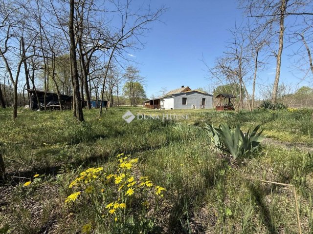 Eladó mezogazdasagi ingatlan, Szabadszálláson 20 M Ft, 3 szobás