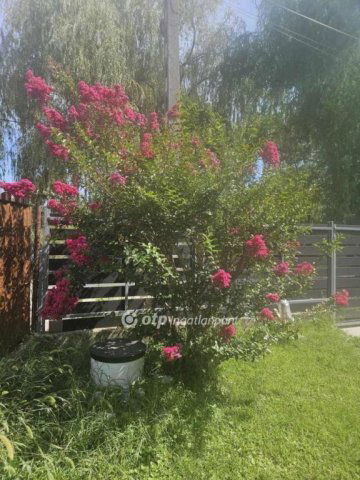 Eladó nyaraló, Dunaharasztin 51.9 M Ft, 1+1 szobás