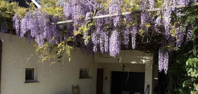 Eladó családi ház, Taksonyon 295 M Ft, 7 szobás