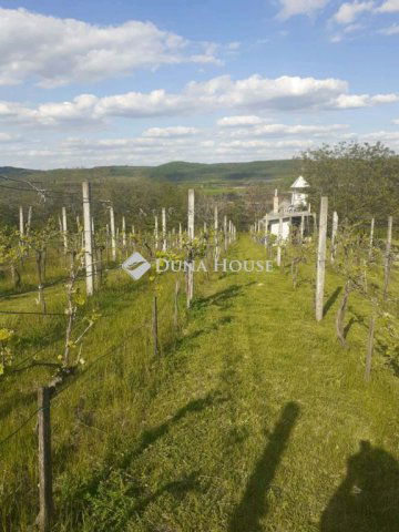 Eladó nyaraló, Ravazdon 27.5 M Ft, 1 szobás