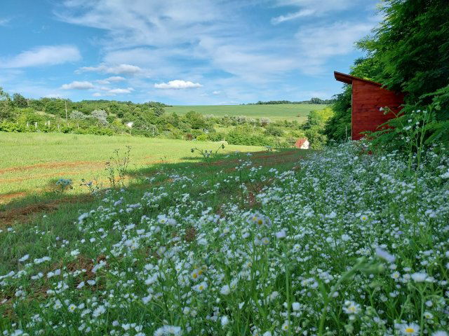 Eladó telek, Lovasberényben 11.9 M Ft / költözzbe.hu