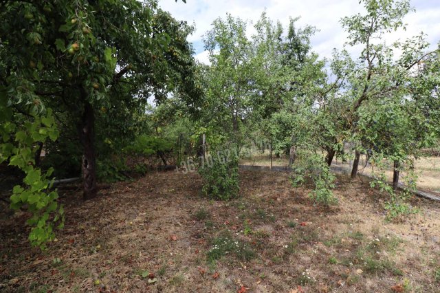 Eladó családi ház, Diósjenőn 39.9 M Ft, 3 szobás