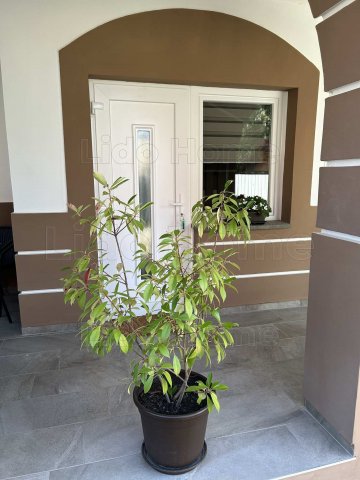 Eladó családi ház, Balatonlelleén 240 M Ft, 4 szobás