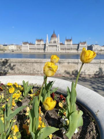 Eladó téglalakás, Budapesten, I. kerületben 60 M Ft, 1 szobás