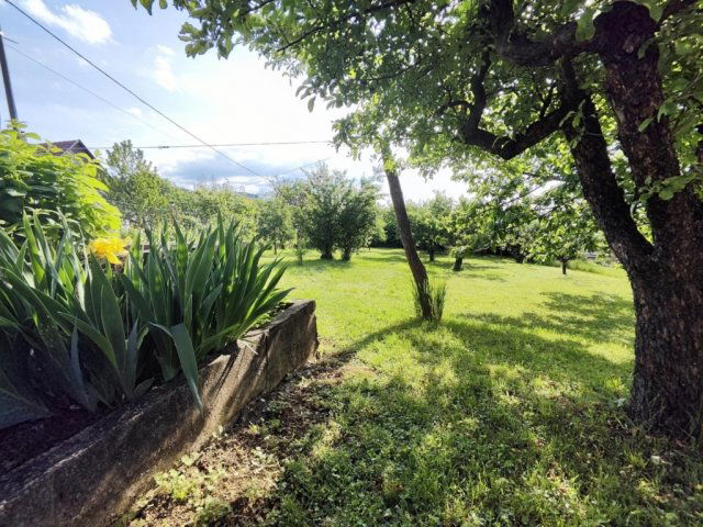 Eladó családi ház, Pécsett 19.9 M Ft, 2 szobás