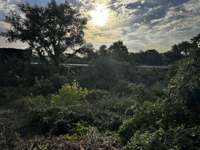 Eladó telek, Tatabányán, Hegyalja úton 5.5 M Ft