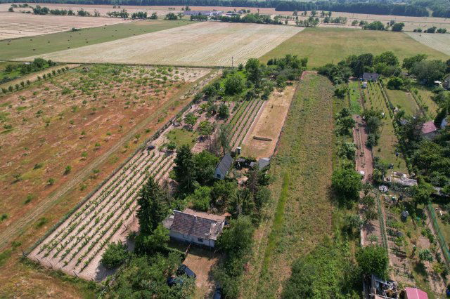 Eladó családi ház, Oroszlányban 13.9 M Ft, 1 szobás