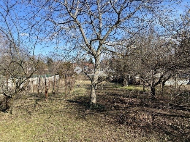 Eladó családi ház, Gyömrőn 50.99 M Ft, 5 szobás