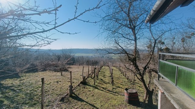 Eladó mezogazdasagi ingatlan, Alsónemesapátiban 2.7 M Ft