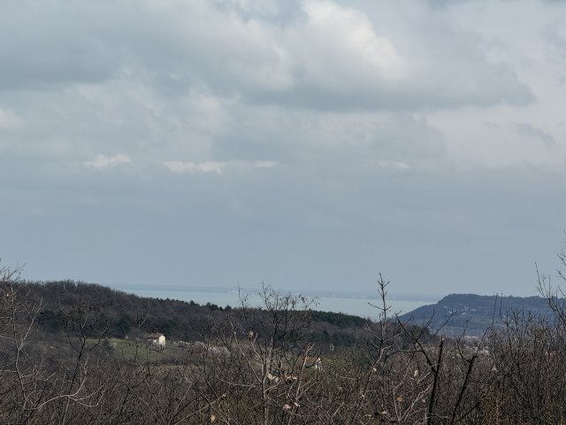 Eladó mezogazdasagi ingatlan, Pécselyen 16 M Ft