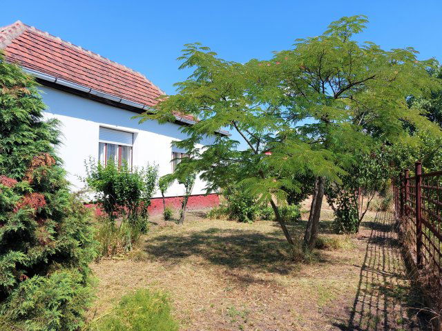 Eladó családi ház, Szolnokon 20.5 M Ft, 2 szobás