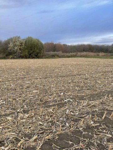 Eladó telek, Dadon 8.9 M Ft / költözzbe.hu