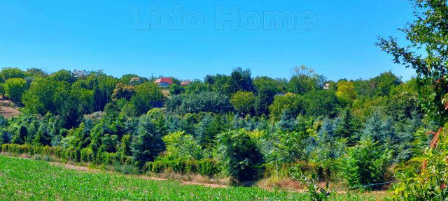 Eladó telek, Balatonszárszón 19.7 M Ft / költözzbe.hu