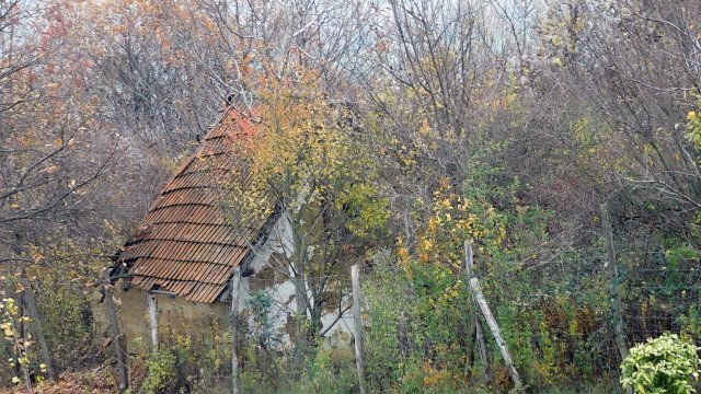 Eladó mezogazdasagi ingatlan, Karmacson 5.8 M Ft