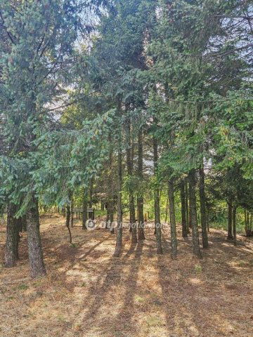 Eladó nyaraló, Sukorón 47.9 M Ft, 1+1 szobás