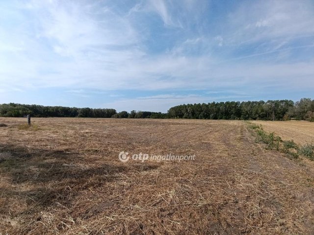 Eladó mezogazdasagi ingatlan, Pusztamérgesen 23.7 M Ft