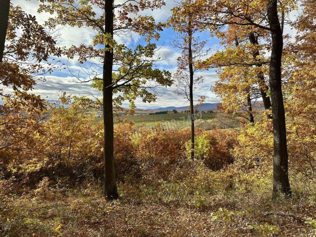 Eladó mezogazdasagi ingatlan, Berkenyén 33 M Ft