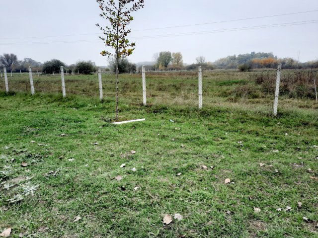 Eladó mezogazdasagi ingatlan, Vecsésen 64 M Ft