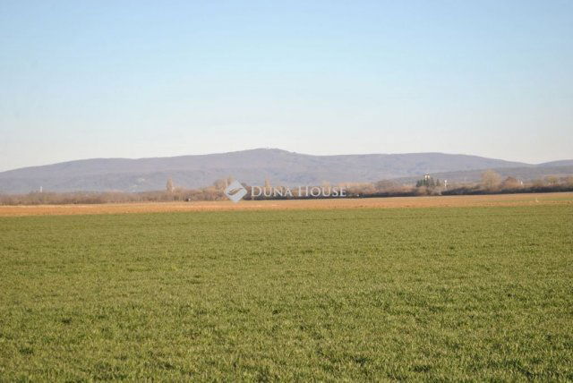 Eladó telek, Csóton 5 M Ft / költözzbe.hu